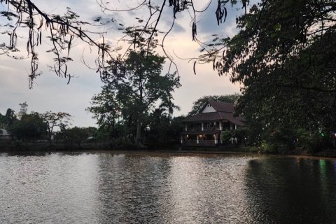 Propriété commerciale à Chiang Mai, Thaïlande 360 m2 № 160099 - photo 19