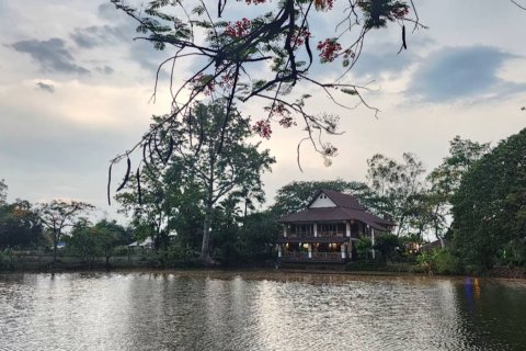 Propriété commerciale à Chiang Mai, Thaïlande 360 m2 № 160099 - photo 23