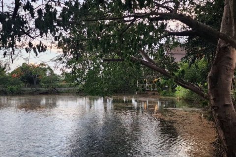 Propriété commerciale à Chiang Mai, Thaïlande 360 m2 № 160099 - photo 18