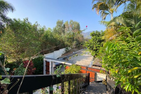 House in Chiang Mai, Thailand 4 bedrooms № 160093 - photo 23