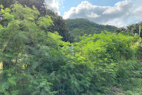 Земельный участок в Паттайе, Таиланд 7200м2  № 167606 - фото 5