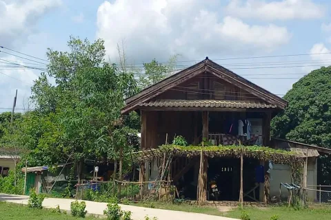 Land in Mae Sot, Thailand 20800 sq.m. № 167318 - photo 5