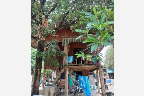 Land in Mae Sot, Thailand 20800 sq.m. № 167318 - photo 7