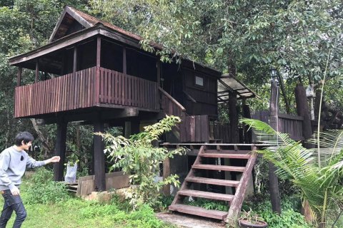 Land in Chiang Mai, Thailand 548 sq.m. № 171839 - photo 4