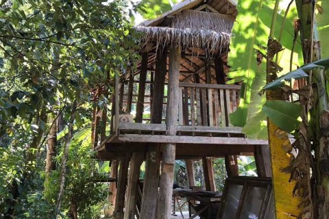 Land in Chiang Mai, Thailand 548 sq.m. № 171839 - photo 3