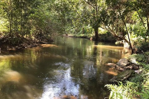 Land in Chiang Mai, Thailand 548 sq.m. № 171839 - photo 5