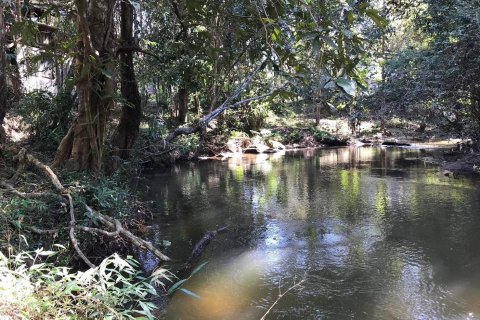 Land in Chiang Mai, Thailand 548 sq.m. № 171839 - photo 6