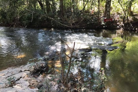 Land in Chiang Mai, Thailand 548 sq.m. № 171839 - photo 7