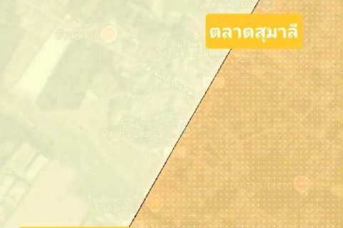 Terrain à Rayong, Thaïlande 14400 m2 № 171843 - photo 20