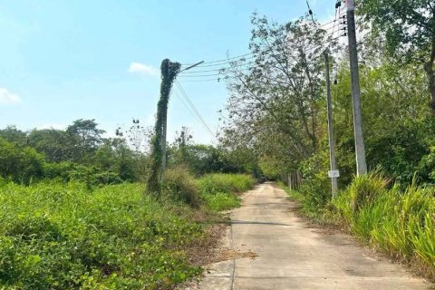 Terrain à Rayong, Thaïlande 14400 m2 № 171843 - photo 2