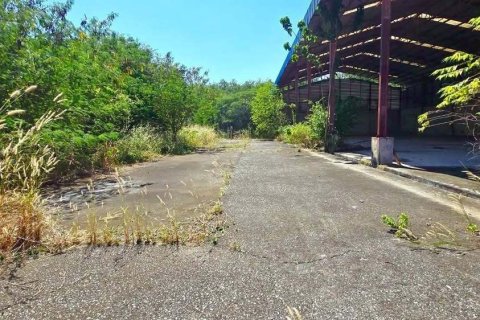 Terrain à Rayong, Thaïlande 14400 m2 № 171843 - photo 6