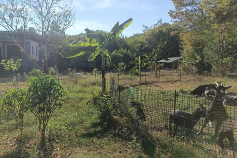 Maison à Klaeng, Thaïlande 4 chambres № 170931 - photo 15