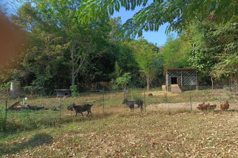 Maison à Klaeng, Thaïlande 4 chambres № 170931 - photo 14