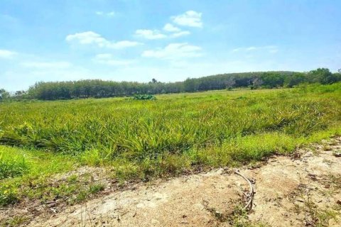 Земельный участок в Районге, Таиланд 80000м2  № 163185 - фото 8