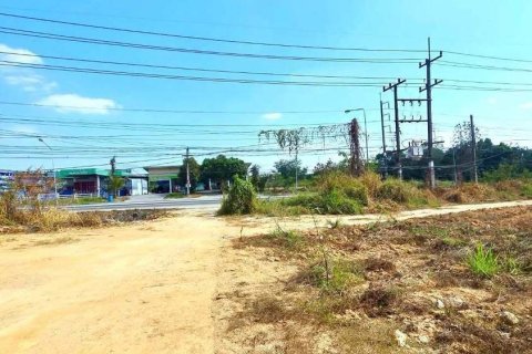 Земельный участок в Районге, Таиланд 80000м2  № 163185 - фото 4