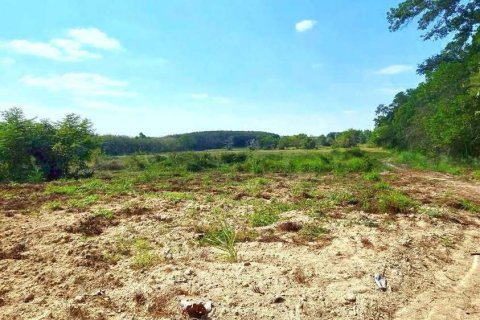 Земельный участок в Районге, Таиланд 80000м2  № 163185 - фото 7