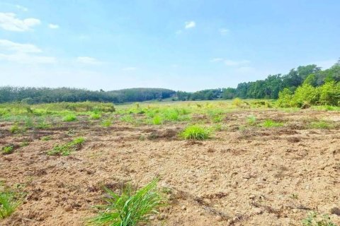 Земельный участок в Районге, Таиланд 80000м2  № 163185 - фото 6