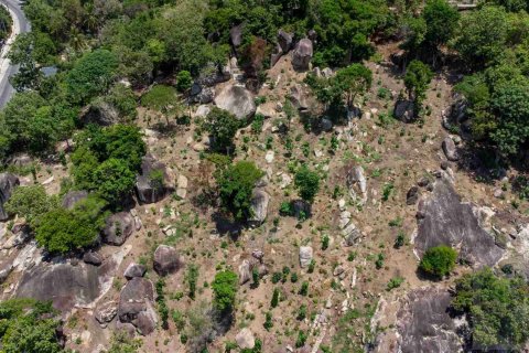 Land on Chaweng Beach, Ko Samui, Thailand 8000 sq.m. № 180262 - photo 4