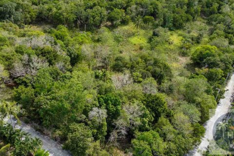 Land in Ko Samui, Thailand 6400 sq.m. № 180263 - photo 5