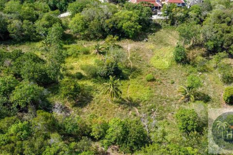 Land in Ko Samui, Thailand 6400 sq.m. № 180263 - photo 3