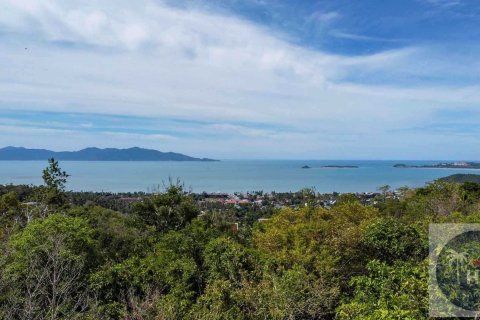 Land in Ko Samui, Thailand 6400 sq.m. № 180263 - photo 4