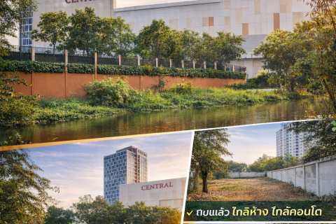 Terrain à Ayutthaya, Thaïlande 1600 m2 № 167419