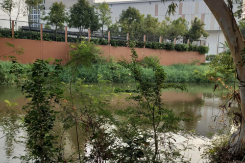 Land in Ayutthaya, Thailand 1600 sq.m. № 167419 - photo 2