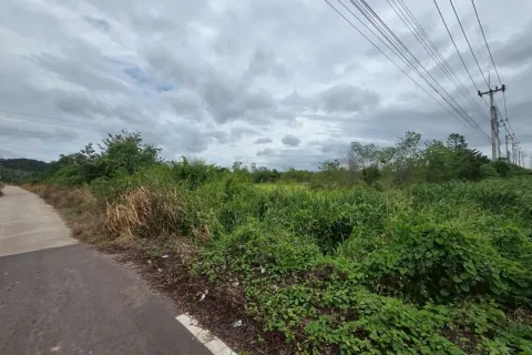 Terrain à Hua Hin, Thaïlande 24960 m2 № 161357