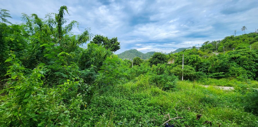 Земельный участок в Самуи, Таиланд 800м2  № 137978