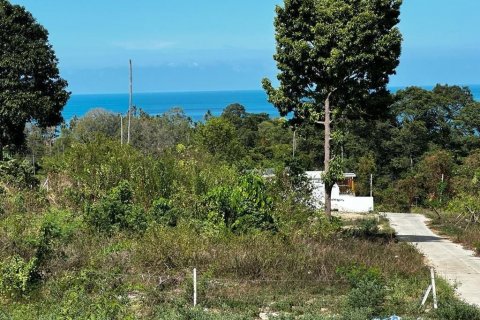 Земельный участок в Самуи, Таиланд 800м2  № 137978 - фото 2