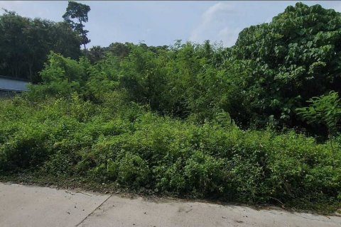 Земельный участок в Самуи, Таиланд 800м2  № 137978 - фото 7