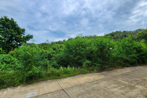 Земельный участок в Самуи, Таиланд 800м2  № 137978 - фото 5