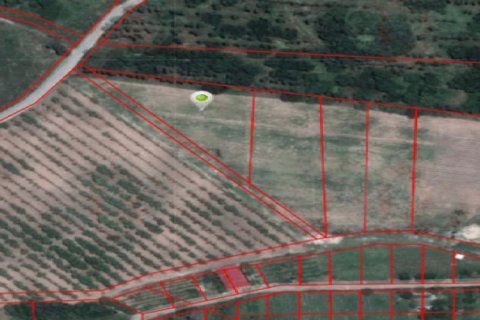 Land in Chonburi, Thailand 3456 sq.m. № 162405 - photo 4