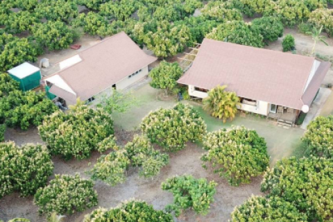 House in Chiang Mai, Thailand 2 bedrooms № 160718