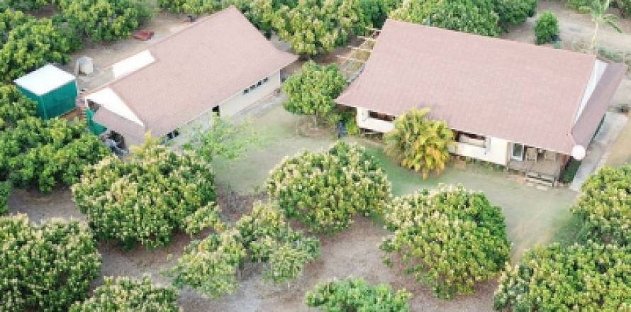 House in Chiang Mai, Thailand 2 bedrooms № 160718