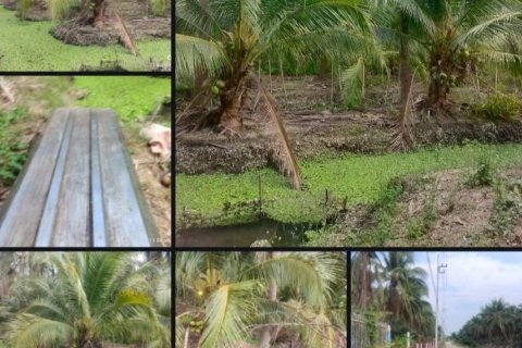 Terrain à Damnoen Saduak, Thaïlande 22400 m2 № 171790 - photo 11