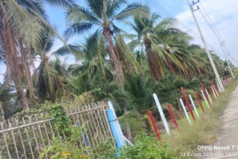 Terrain à Damnoen Saduak, Thaïlande 22400 m2 № 171790 - photo 4