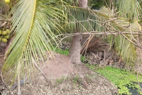 Terrain à Damnoen Saduak, Thaïlande 22400 m2 № 171790 - photo 3