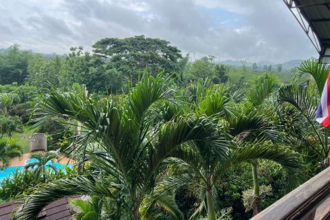 Дом в Лампхуне, Таиланд с 10 спальнями  № 155936 - фото 7