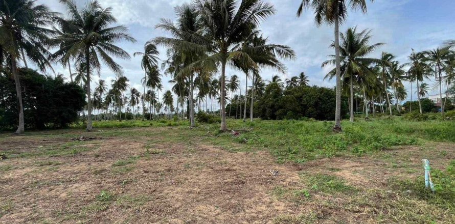 Terrain à Mai Khao, Thaïlande 5464 m2 № 155937