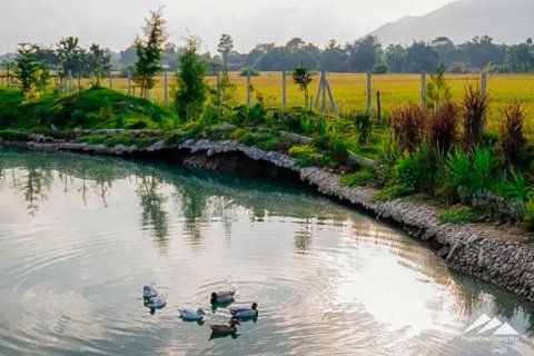 Вилла в Чиангмае, Таиланд с 3 спальнями  № 122801 - фото 11