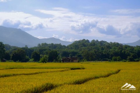 Villa in Chiang Mai, Thailand 3 bedrooms № 122801 - photo 3