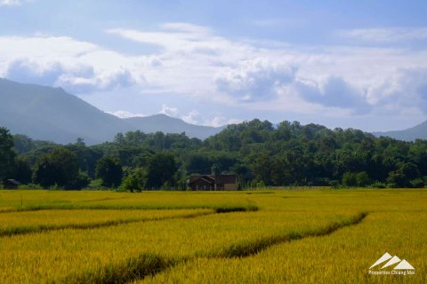 Villa à Chiang Mai, Thaïlande 3 chambres № 122801 - photo 3
