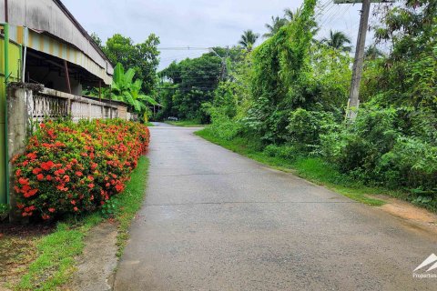 Склад в Чиангмае, Таиланд 800м2  № 122797 - фото 19