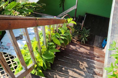 Hôtel à Chiang Mai, Thaïlande 390 m2 № 122802 - photo 30