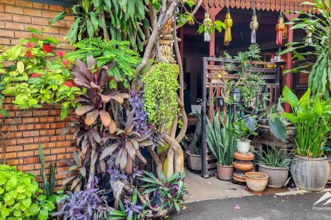 Hotel in Chiang Mai, Thailand 390 sq.m. № 122802 - photo 3