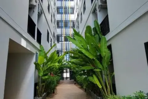 สตูดิโอในภูเก็ต, ประเทศไทย № 203542 - รูปถ่าย 11