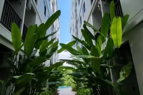 สตูดิโอในภูเก็ต, ประเทศไทย № 203542 - รูปถ่าย 10
