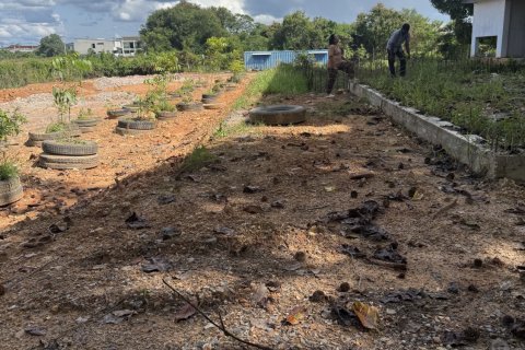 Земельный участок в Яле, Таиланд 3200м2  № 153114 - фото 3