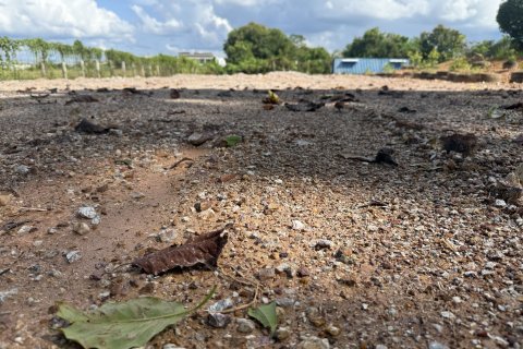 Земельный участок в Яле, Таиланд 3200м2  № 153114 - фото 2